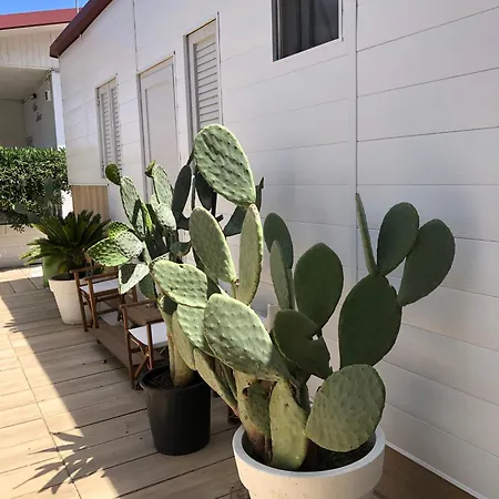 Villaggio Benvivere סניגליה